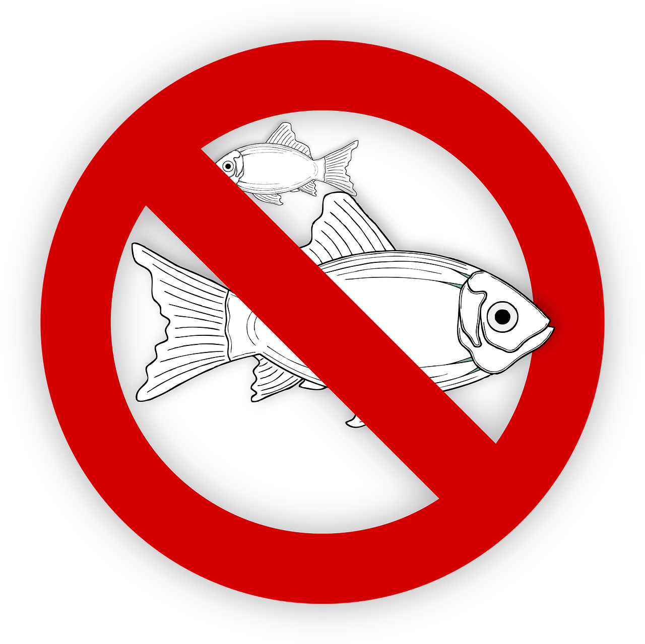 pixabay-995050-34.png